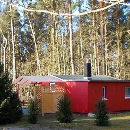 Ferienhaus Am Langen See II Heidesee Buitenkant foto